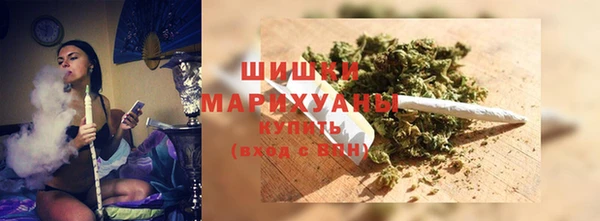 индика Абаза