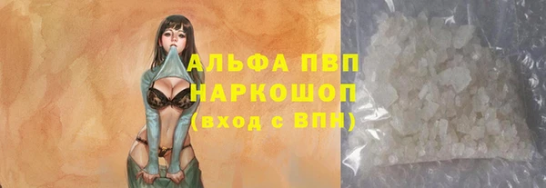 индика Абаза