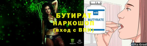 индика Абаза