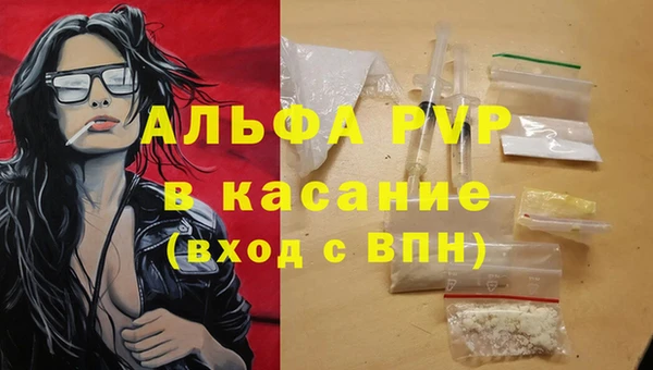 индика Абаза