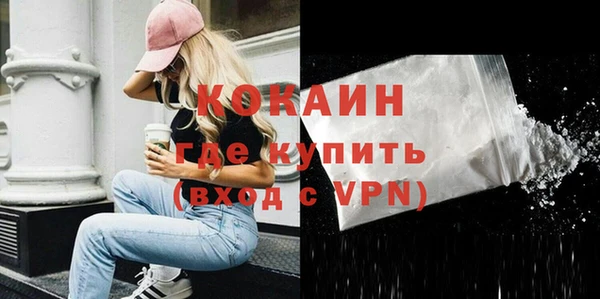индика Абаза